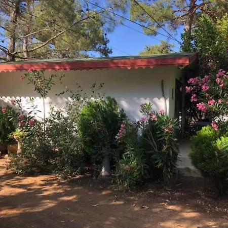 Sekerbahce * Adrasan