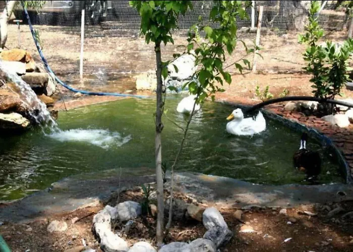 Sekerbahce * Adrasan