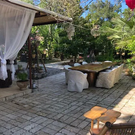 Sekerbahce אדראסן