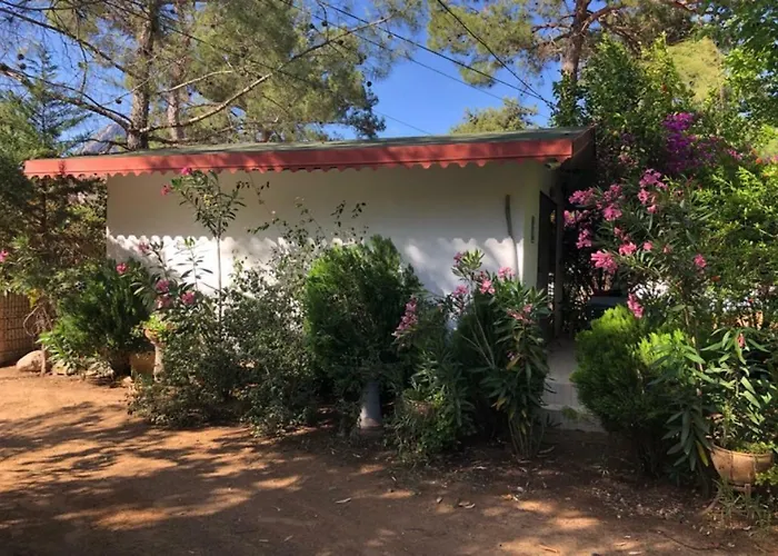 Sekerbahce * Adrasan