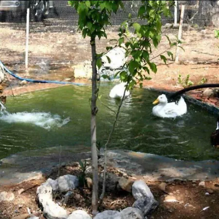 Sekerbahce * أدراسان